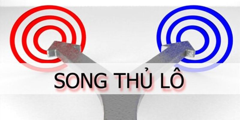 Đặc điểm của song thủ lô